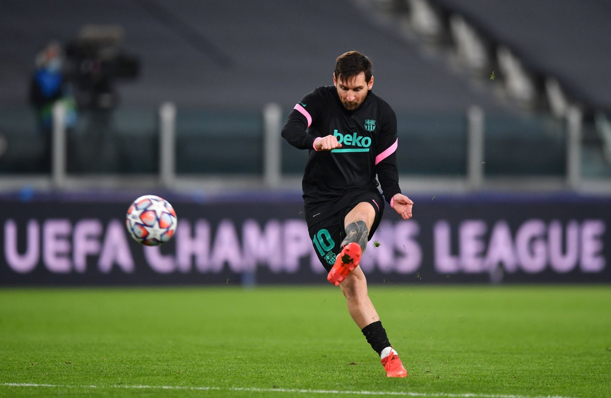 效的训练体 效的训练体