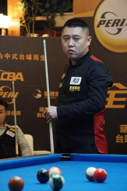 公众视野的 公众视野的